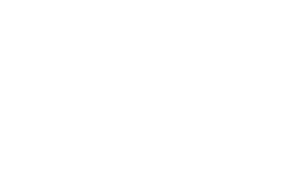 VIFON