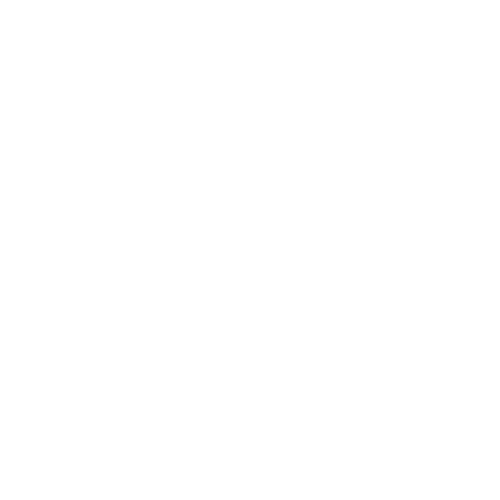 Phu dong